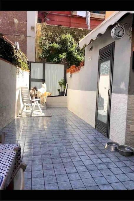 Napoli Centro Casa Con Due Camere E Cucina Esterno foto